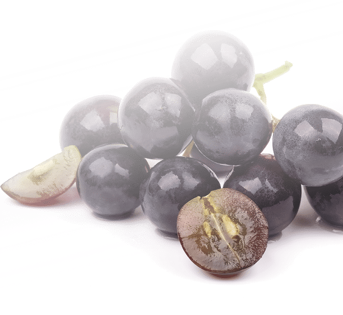 Bunch of grapes isolated on white background