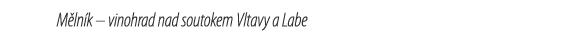 M ln k   vinohrad nad soutokem Vltavy a Labe