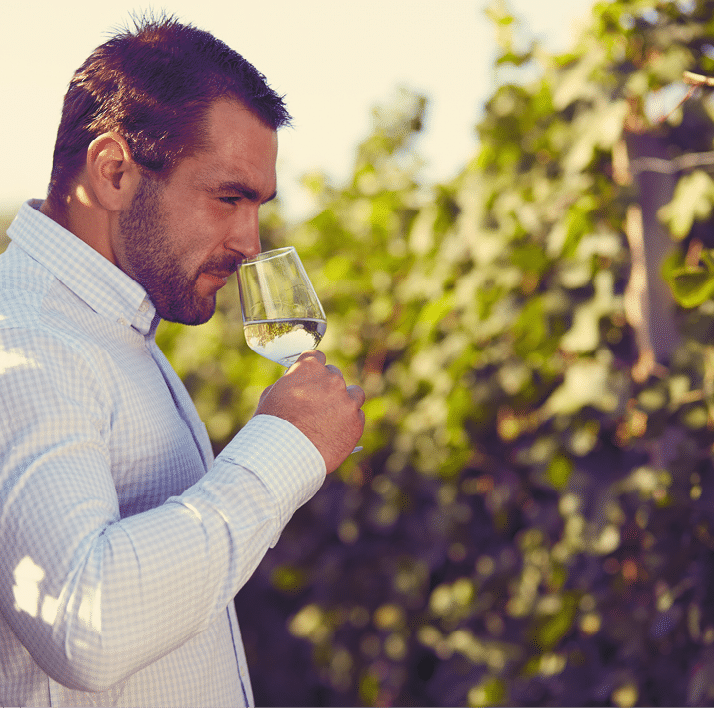Winemaker tasting white wine in vineyard at sunny day  Toned