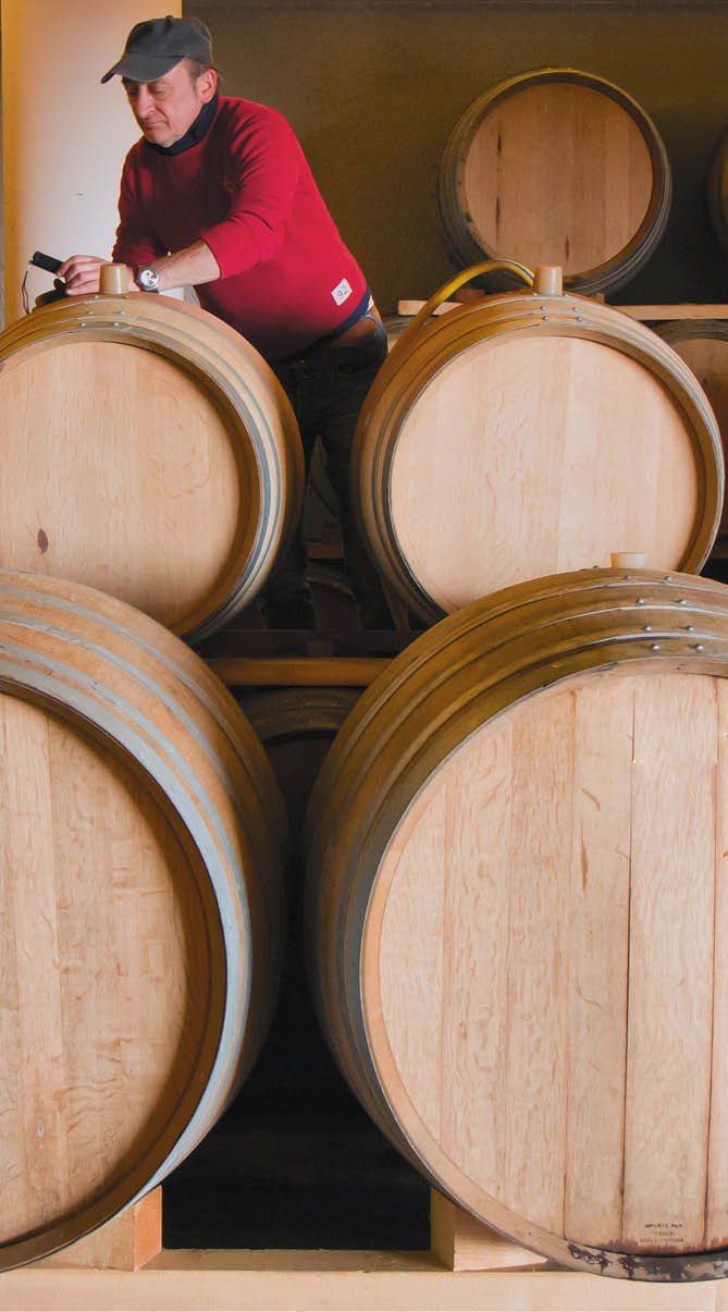 wine cellar for storing aged wine