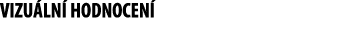 VIZU LN  HODNOCEN  