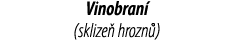 Vinobran  (sklize  hrozn ) 