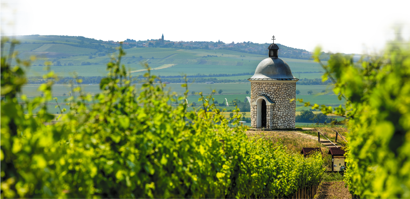 Kniha  MORAVA BEST - Libor Sv  ek  - 1  vyd n  2018 2019 Photographer: Libor Svacek; box fotosvacek cz; Mobile: +420 602428001; 