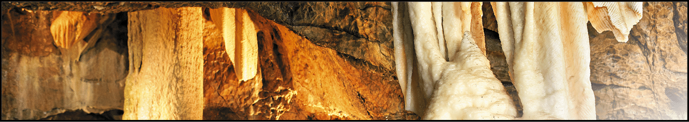 Kniha  Jizni Morava - Libor Svacek  - vydani 1 , rok 2011 Photographer: Libor Svacek; box fotosvacek cz; Mobile: +420 602428001; 