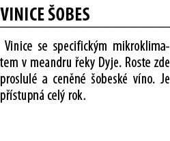 Vinice  obes Vinice se specifick m mikroklimatem v meandru  eky Dyje  Roste zde proslul  a cen n   obesk  v no  Je p    