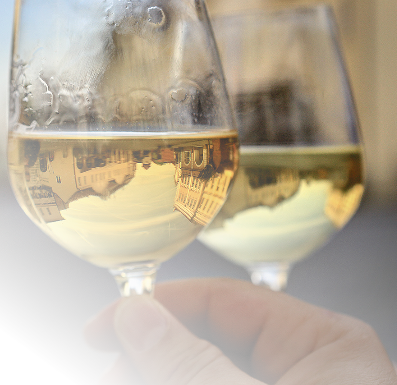 Kniha  MORAVA BEST - Libor Sv  ek  - 1  vyd n  2018 2019 Photographer: Libor Svacek; box fotosvacek cz; Mobile: +420 602428001; 