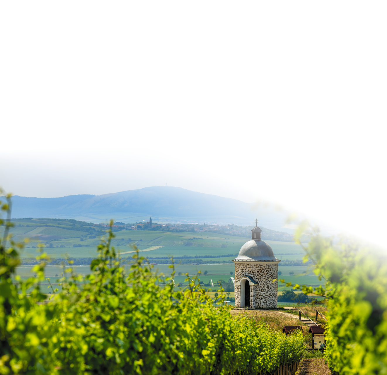 Kniha  MORAVA BEST - Libor Sv  ek  - 1  vyd n  2018 2019 Photographer: Libor Svacek; box fotosvacek cz; Mobile: +420 602428001; 