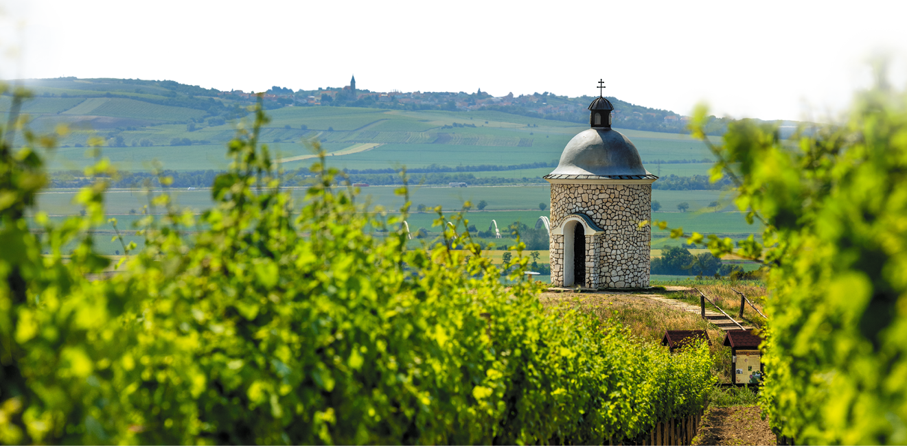 Kniha  MORAVA BEST - Libor Sv  ek  - 1  vyd n  2018 2019 Photographer: Libor Svacek; box fotosvacek cz; Mobile: +420 602428001; 