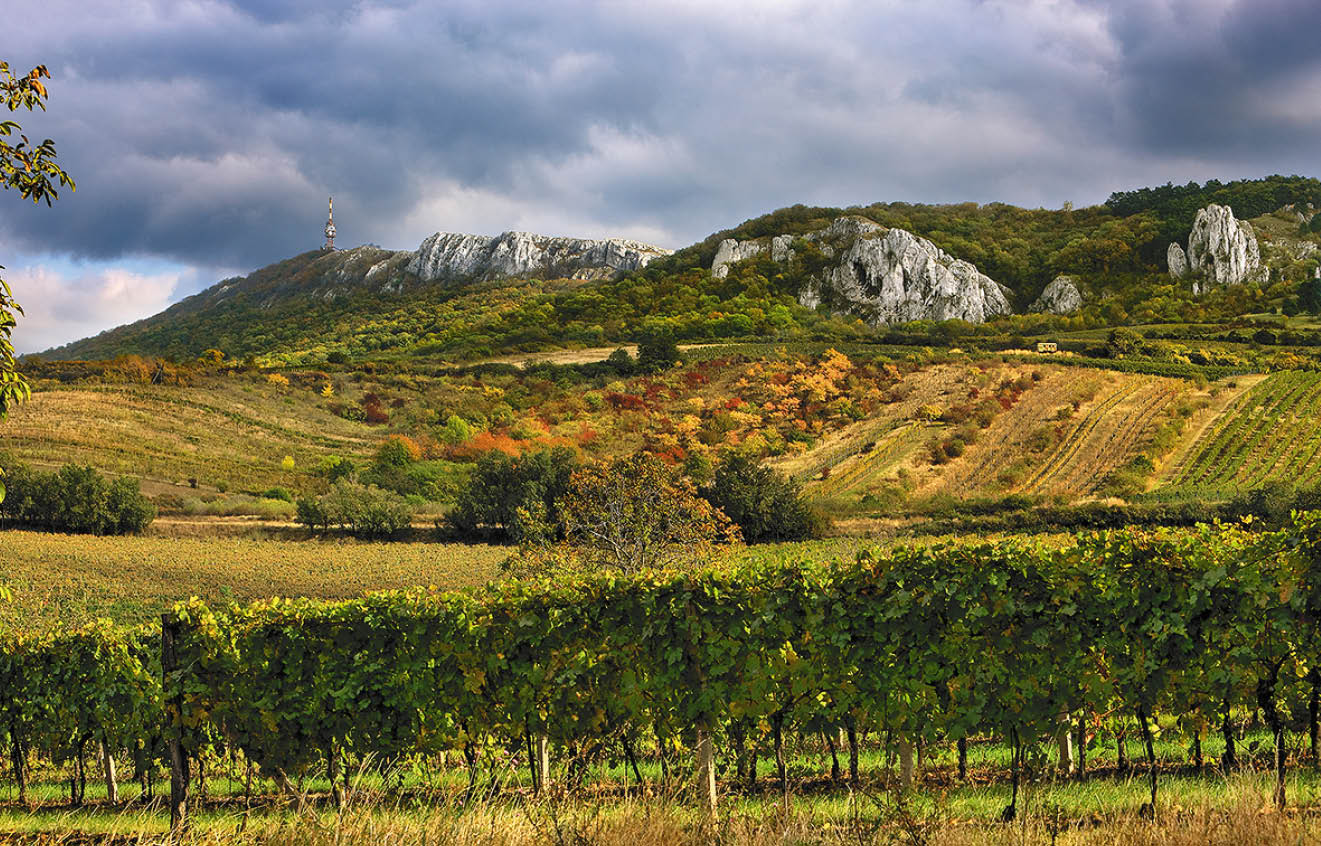 Kniha  Jizni Morava - Libor Svacek  - vydani 1 , rok 2011 Photographer: Libor Svacek; box fotosvacek cz; Mobile: +420 602428001; 