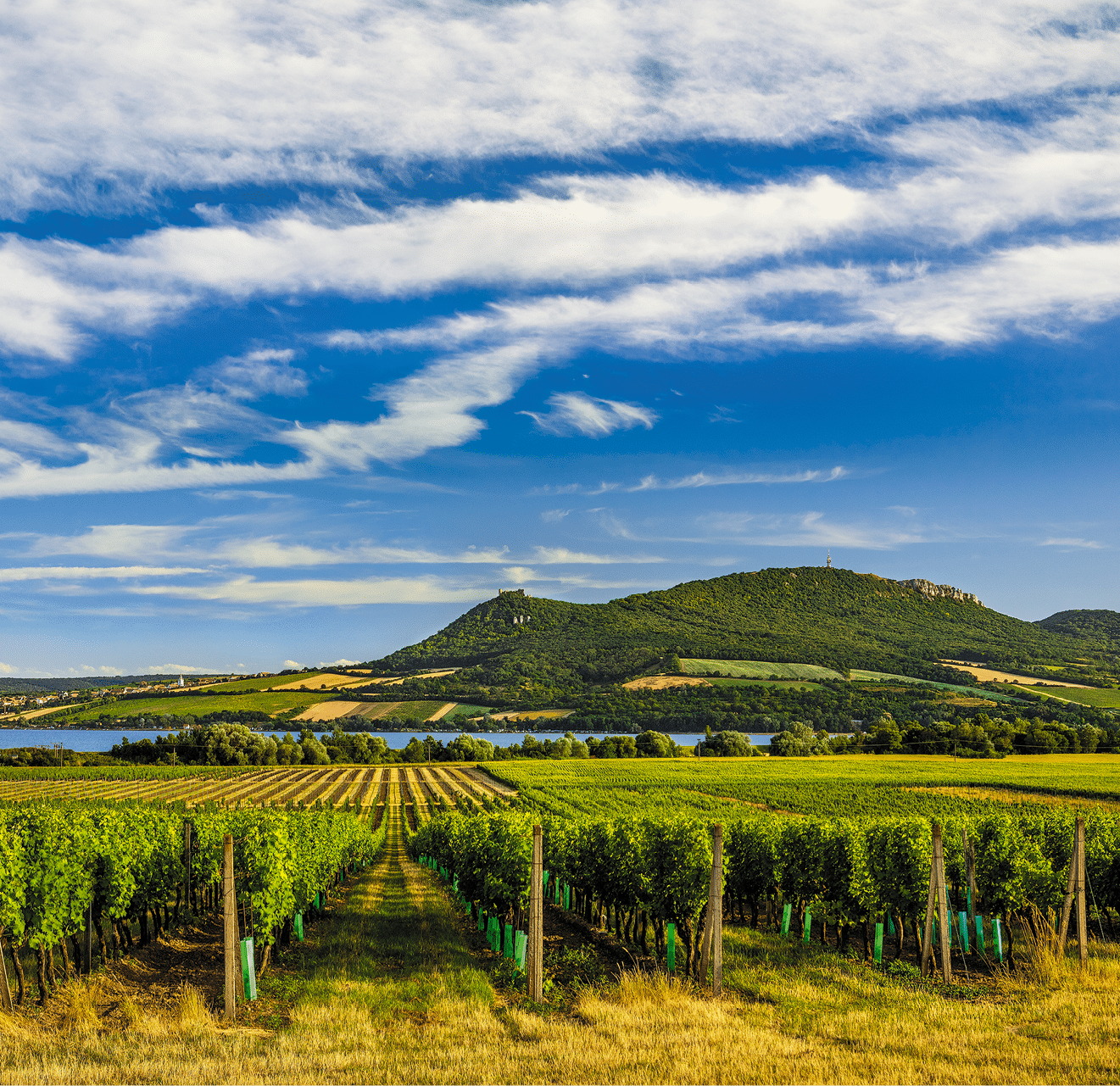 Kniha  MORAVA BEST - Libor Sv  ek  - 1  vyd n  2018 2019 Photographer: Libor Svacek; box fotosvacek cz; Mobile: +420 602428001; 