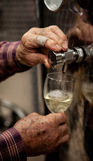 Old winemakers hands pouring a glass of wine from modern inox tank