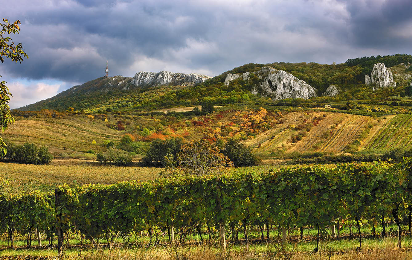 Kniha  Jizni Morava - Libor Svacek  - vydani 1 , rok 2011 Photographer: Libor Svacek; box fotosvacek cz; Mobile: +420 602428001; 