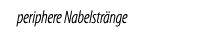 periphere Nabelstr nge