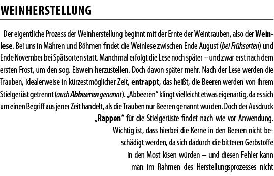 WEINHERSTELLUNG Der eigentliche Prozess der Weinherstellung beginnt mit der Ernte der Weintrauben, also der Weinlese    