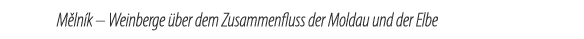 M ln k   Weinberge  ber dem Zusammenfluss der Moldau und der Elbe