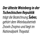 Der  lteste Weinberg in der Tschechischen Republik tr gt die Bezeichnung  obes, geh rt dem Weinbaubetrieb Znov n Znoj   