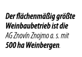 Der fl chenm  ig gr  te Weinbaubetrieb ist die AG Znov n Znojmo a  s  mit 500 ha Weinbergen 