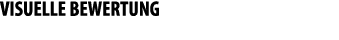 VISUELLE BEWERTUNG 