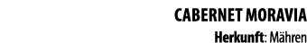 Cabernet Moravia Herkunft: M hren 
