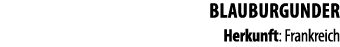 BLAUBURGUNDER Herkunft: Frankreich 