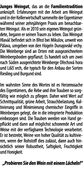 Junges Weingut, das an die Familientradition ankn pft  Erfahrungen mit der Arbeit am Weingut und in der Kellerwirtsch   
