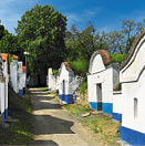 Kniha  Jizni Morava - Libor Svacek  - vydani 1 , rok 2011 Photographer: Libor Svacek; box fotosvacek cz; Mobile: +420 602428001; 