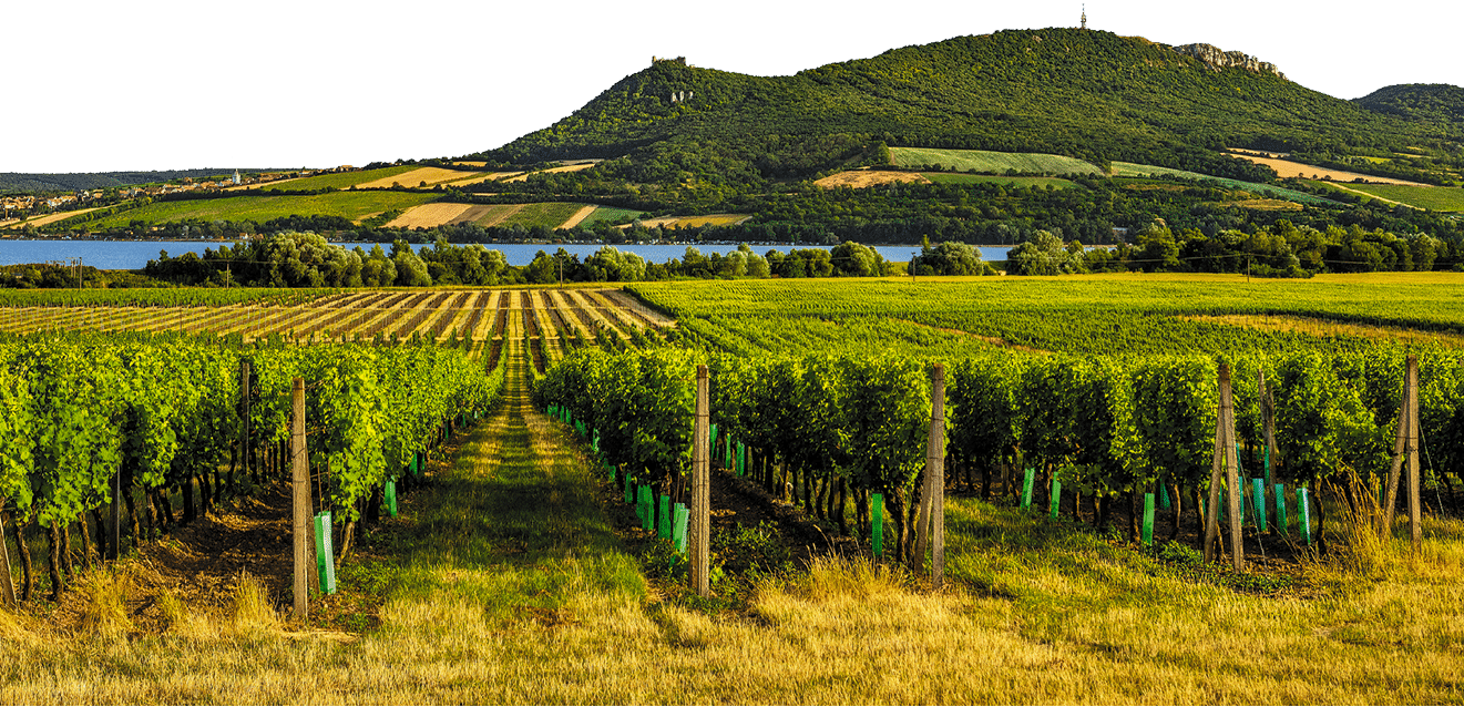 Kniha  MORAVA BEST - Libor Sv  ek  - 1  vyd n  2018 2019 Photographer: Libor Svacek; box fotosvacek cz; Mobile: +420 602428001; 