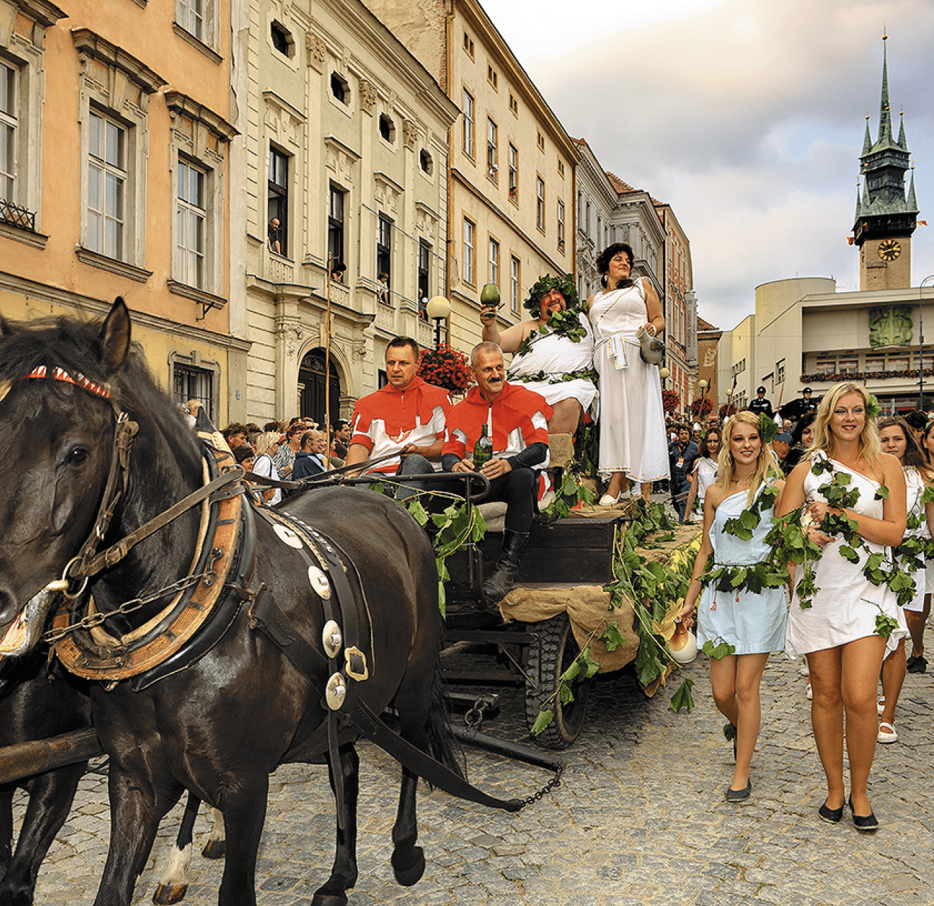 Kniha  Jizni Morava - Libor Svacek  - vydani 1 , rok 2011 Photographer: Libor Svacek; box fotosvacek cz; Mobile: +420 602428001; 