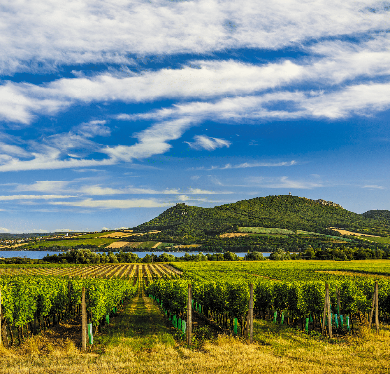 Kniha  MORAVA BEST - Libor Sv  ek  - 1  vyd n  2018 2019 Photographer: Libor Svacek; box fotosvacek cz; Mobile: +420 602428001; 