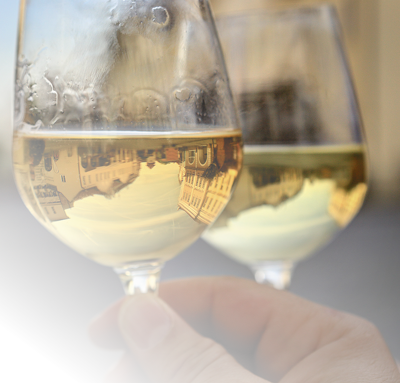 Kniha  MORAVA BEST - Libor Sv  ek  - 1  vyd n  2018 2019 Photographer: Libor Svacek; box fotosvacek cz; Mobile: +420 602428001; 