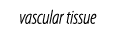 vascular tissue 
