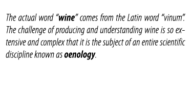 The actual word  wine  comes from the Latin word  vinum   The challenge of producing and understanding wine is so ext   
