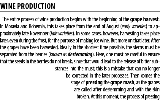 WINE PRODUCTION The entire process of wine production begins with the beginning of the grape harvest  In Moravia and    