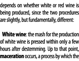depends on whether white or red wine is being produced, since the two procedures are slightly, but fundamentally, dif   