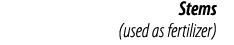 Stems  (used as fertilizer)