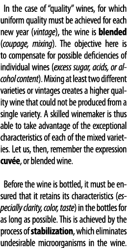 In the case of  quality  wines, for which uniform quality must be achieved for each new year (vintage), the wine is b   