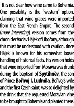 It is not clear how wine came to Bohemia  One possibility is the  western  option, claiming that wine grapes were imp   