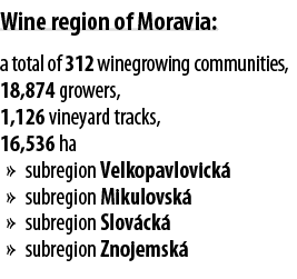 Wine region of Moravia: a total of 312 winegrowing communities, 18,874 growers, 1,126 vineyard tracks, 16,536 ha   su   