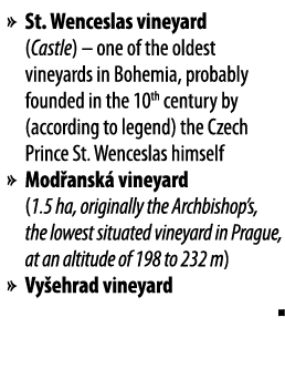   St  Wenceslas vineyard (Castle)   one of the oldest vineyards in Bohemia, probably founded in the 10th century by (   