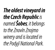 The oldest vineyard in the Czech Republic is named  obes; it belongs to the Znov n Znojmo winery and is located in th   