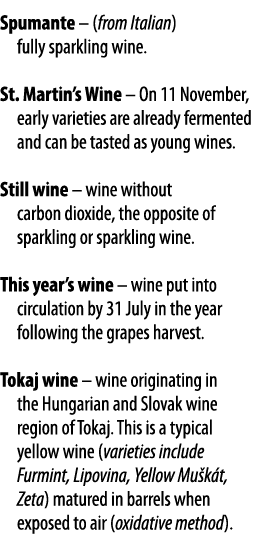 Spumante   (from Italian) fully sparkling wine  St  Martin s Wine   On 11 November, early varieties are already ferme   