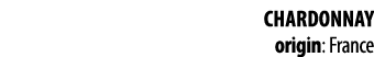 Chardonnay origin: France 