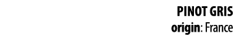 PINOT GRIS origin: France 