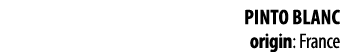 PINTO BLANC origin: France 
