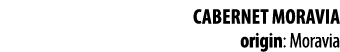 Cabernet Moravia origin: Moravia 