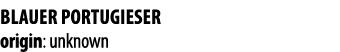 BLAUER PORTUGIESER origin: unknown 