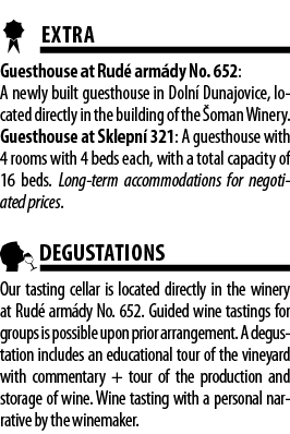  EXTRA Guesthouse at Rud  arm dy No  652: A newly built guesthouse in Doln  Dunajovice, located directly in the build   