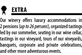  EXTRA Our winery offers luxury accommodations in 2 pensions (up to 26 persons), organized tastings led by our sommel   