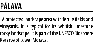 P lava A protected landscape area with fertile fields and vineyards  It is typical for its whitish limestone rocky la   