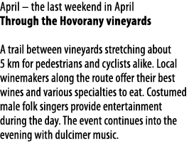 April   the last weekend in April  Through the Hovorany vineyards A trail between vineyards stretching about 5 km for   